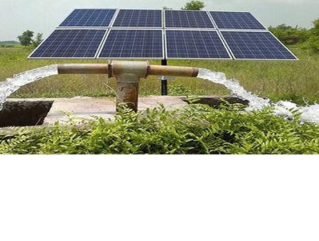 Image1